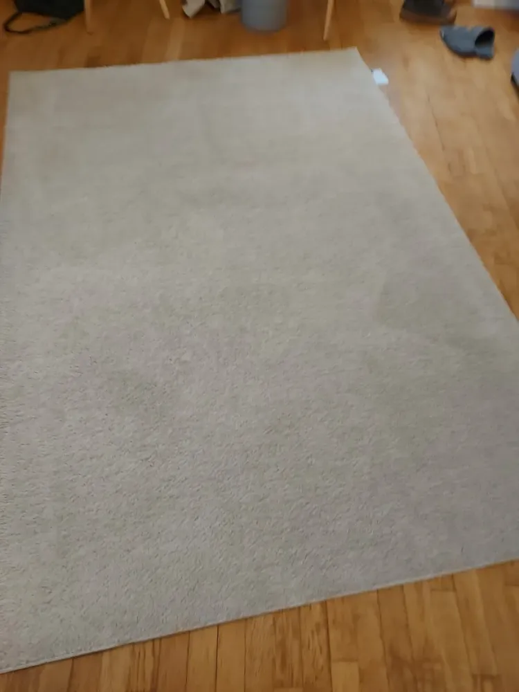 nettoyage interieur tapis 2